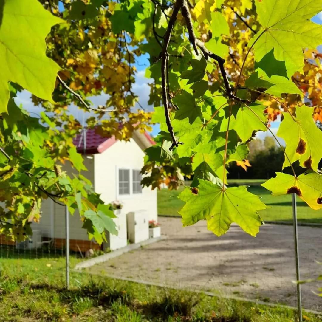 Osada Wilaneska Domki Mikolajki Mazury Exteriör bild