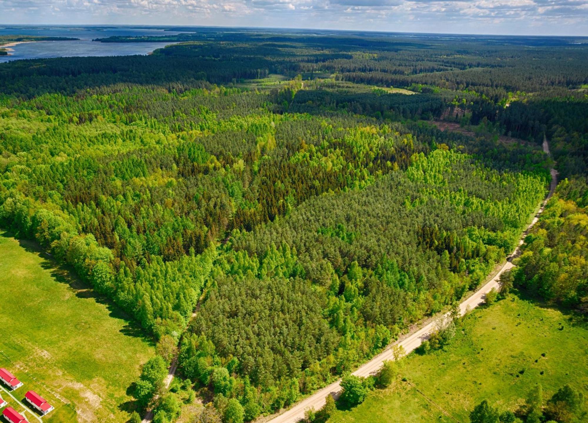 Osada Wilaneska Domki Mikolajki Mazury Exteriör bild